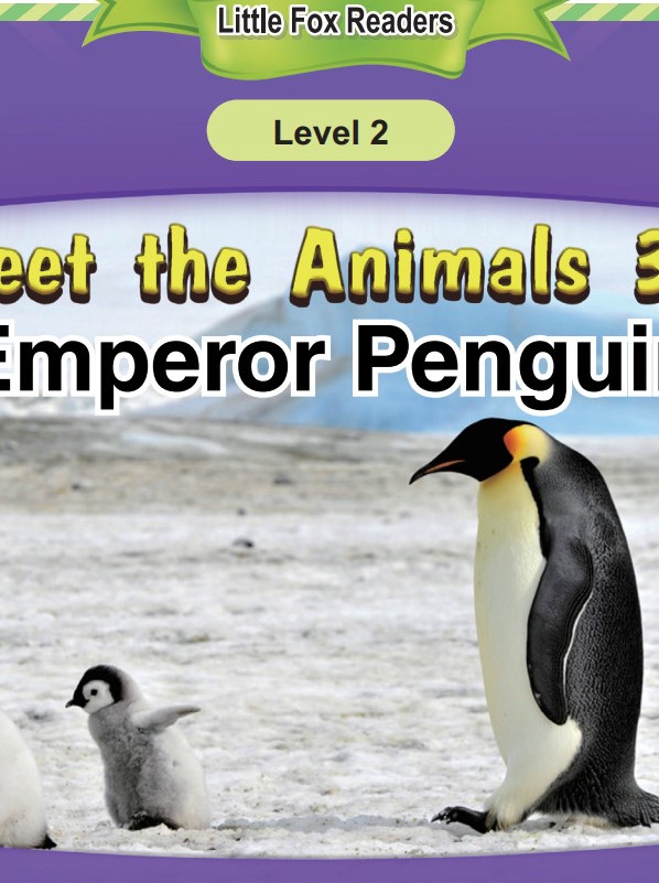 Emperor Penguin