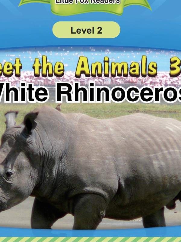 White Rhinoceros