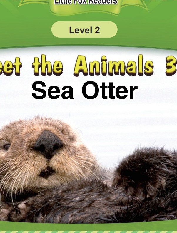 Sea Otter