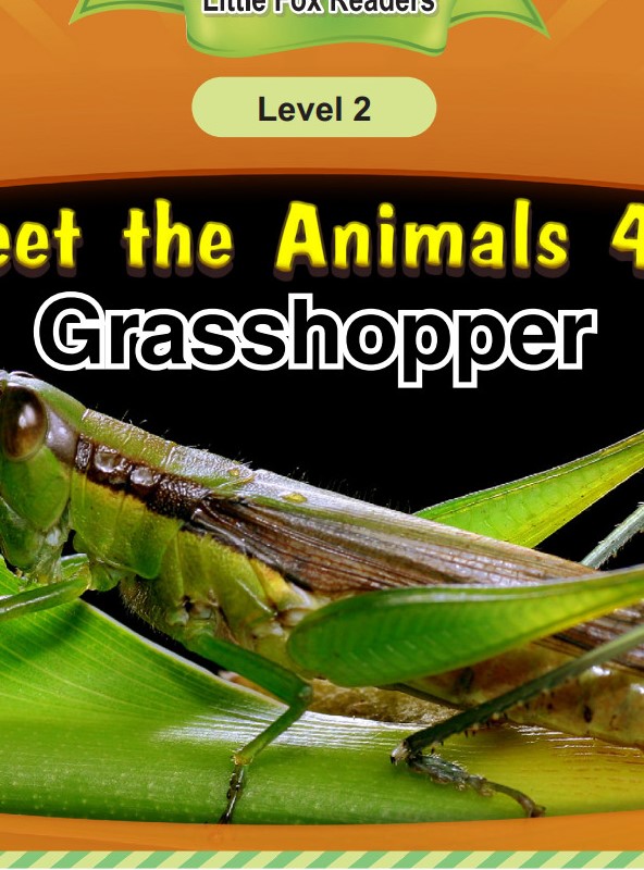 Grasshopper