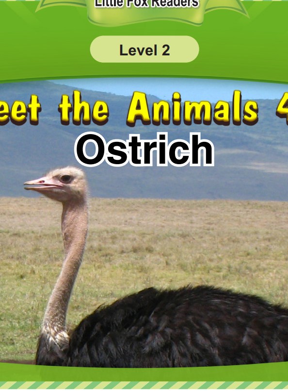 Ostrich