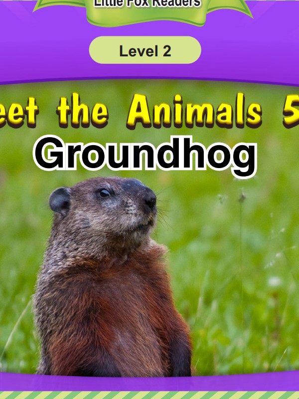 Groundhog