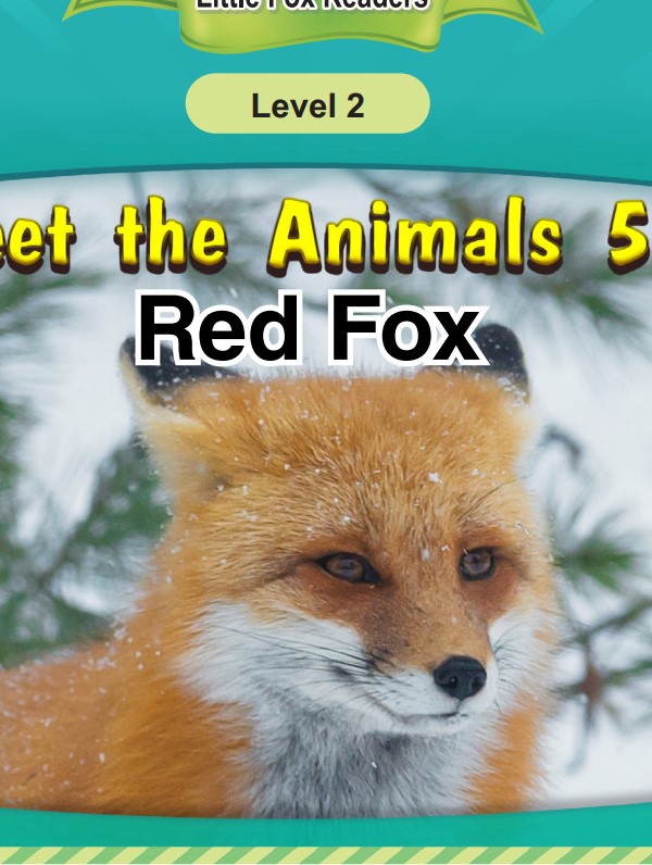 Red Fox