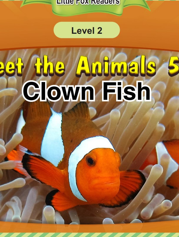 Clown Fish