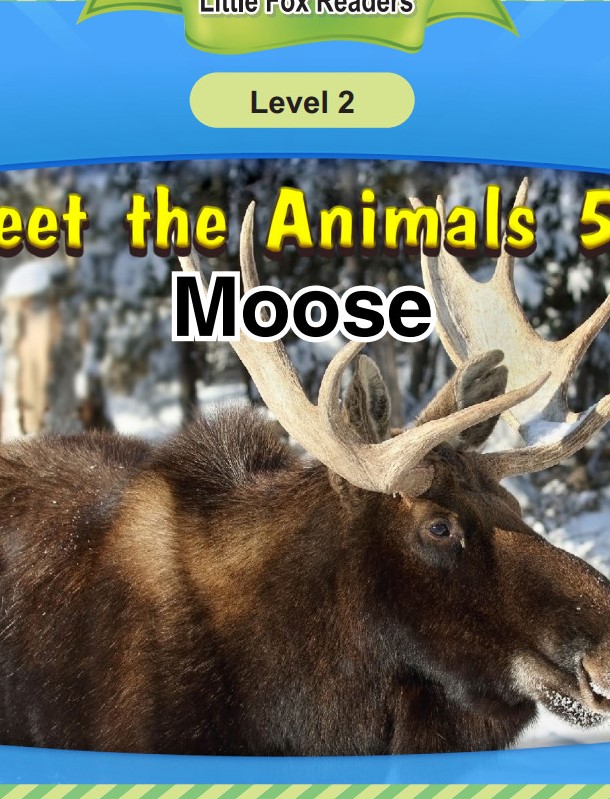 Moose