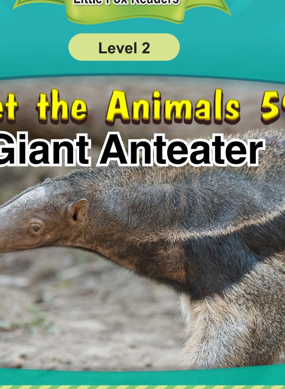 Giant Anteater