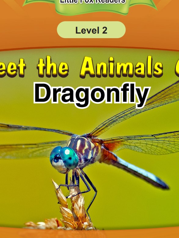 Dragonfly