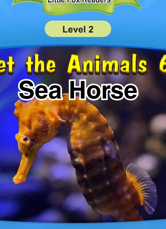 Sea Horse