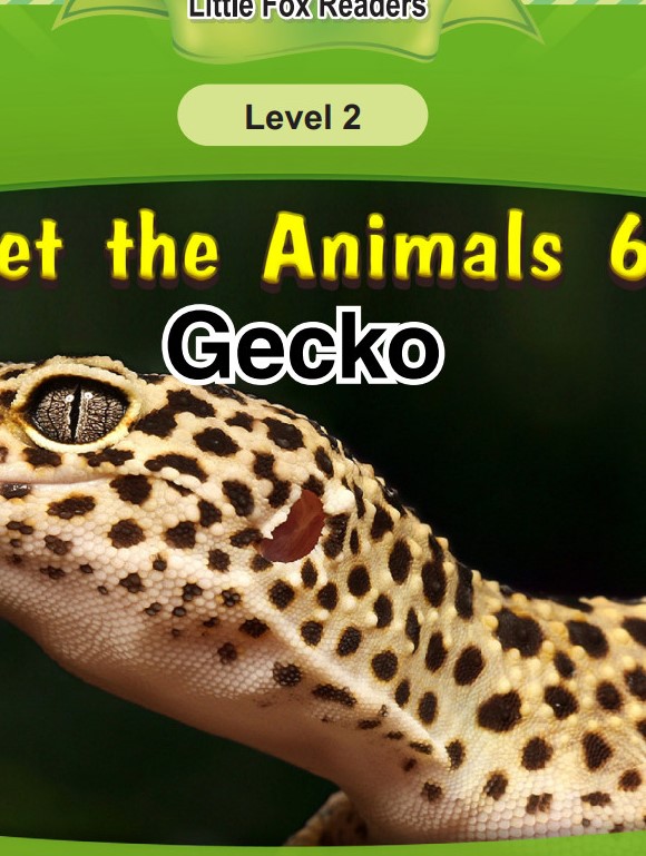 Gecko