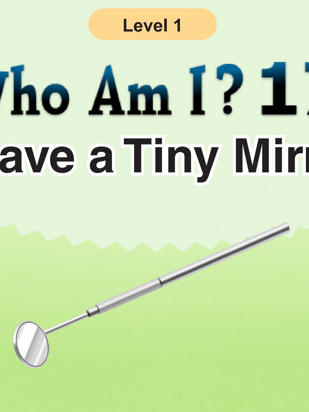 Who Am I -I Have a Tiny Mirror