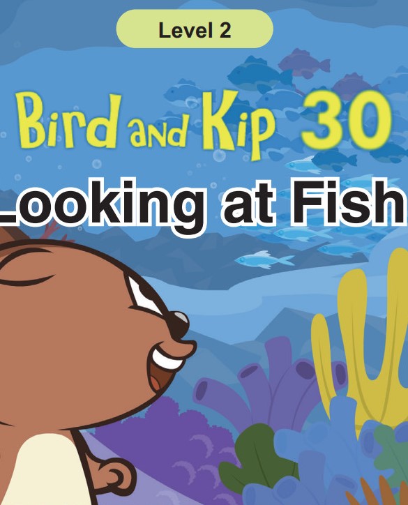Looking at Fish