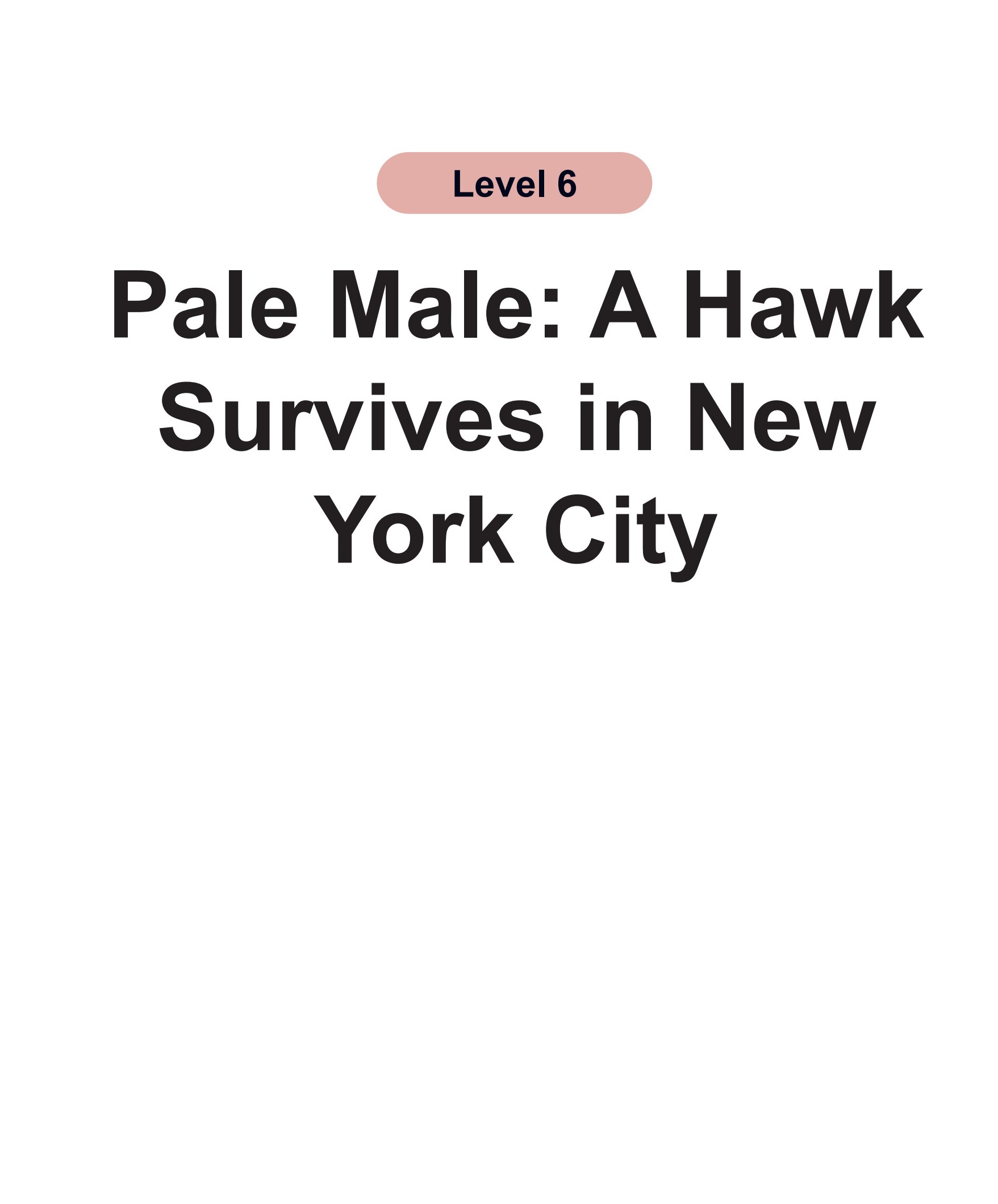 Pale Male：A Hawk Survives in New York City