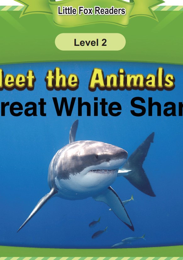 Great White Shark