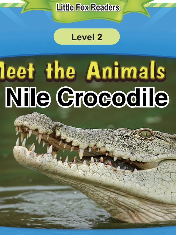 Nile Crocodile