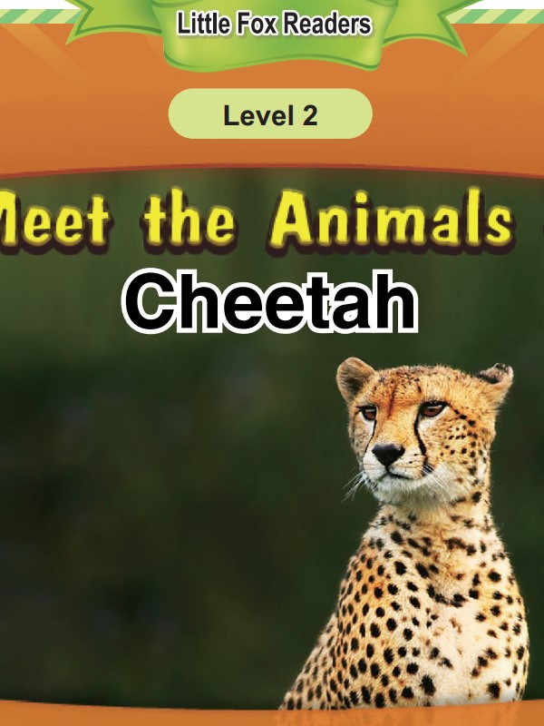 Cheetah