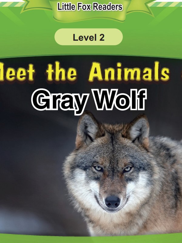Gray Wolf