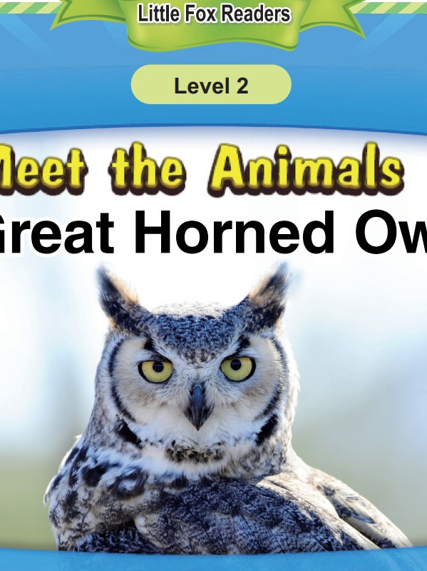 Great Horned Owl