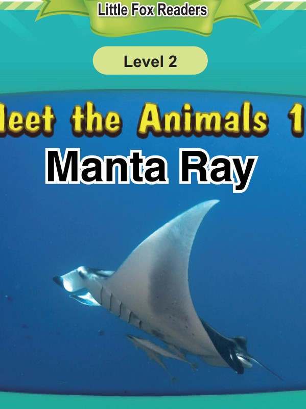 Manta Ray