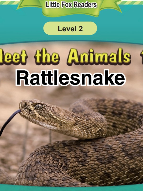 Rattlesnake