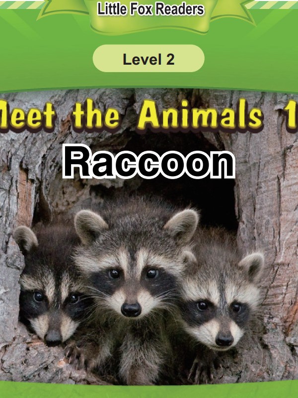 Raccoon
