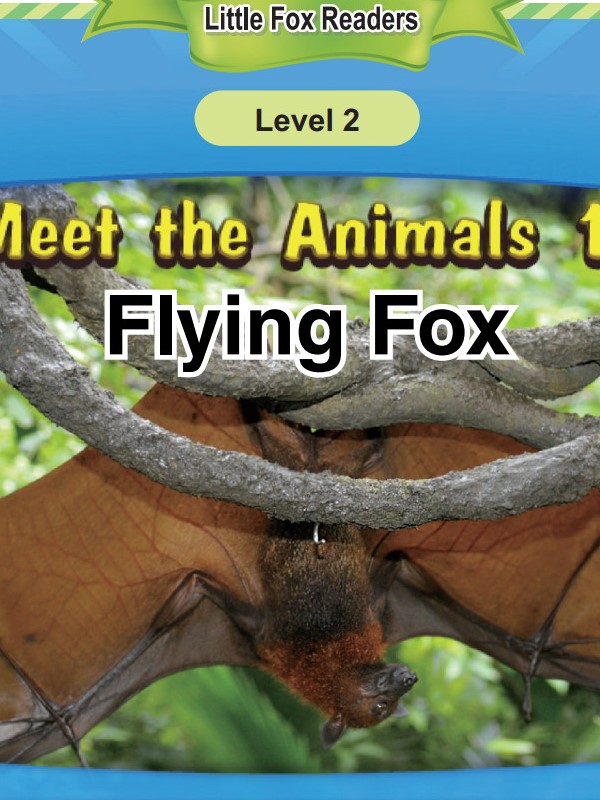 Flying Fox