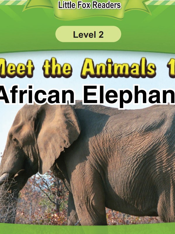 African Elephant