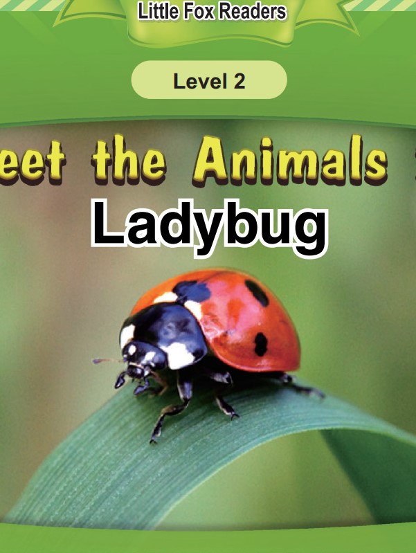 Ladybug