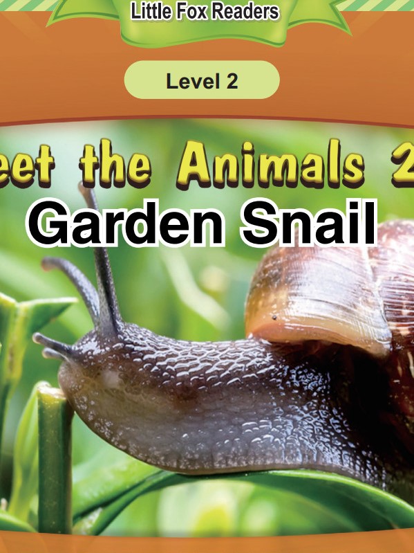 Garden Snail