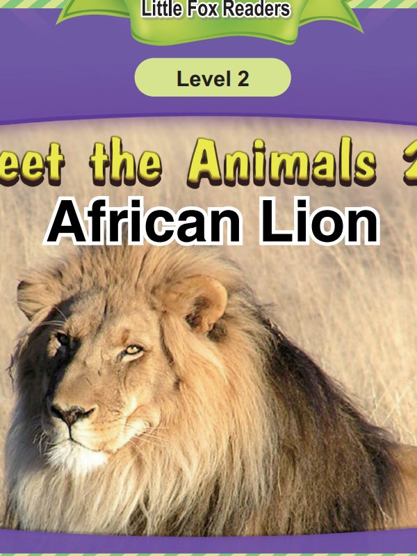 African Lion