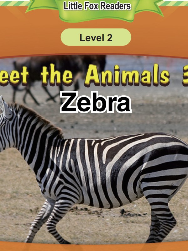 Zebra