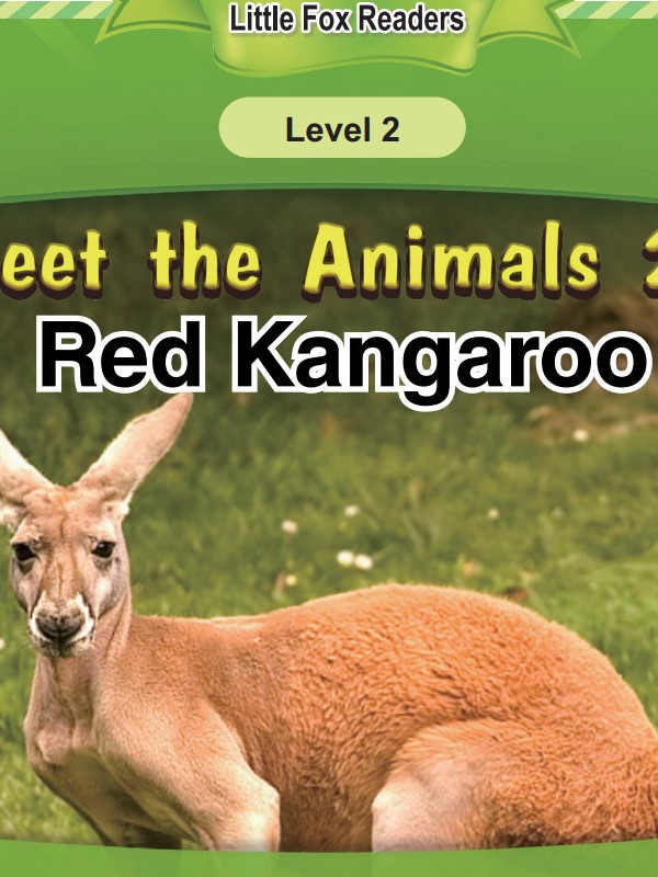 Red Kangaroo