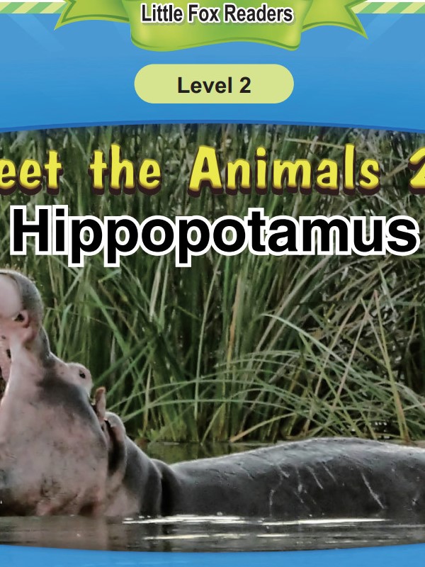 Hippopotamus