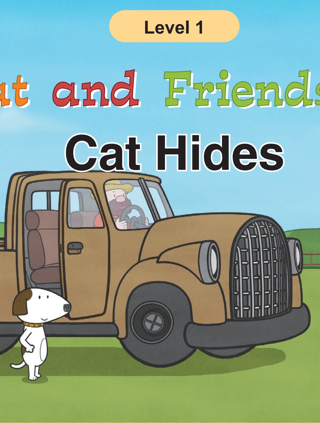 Cat Hides