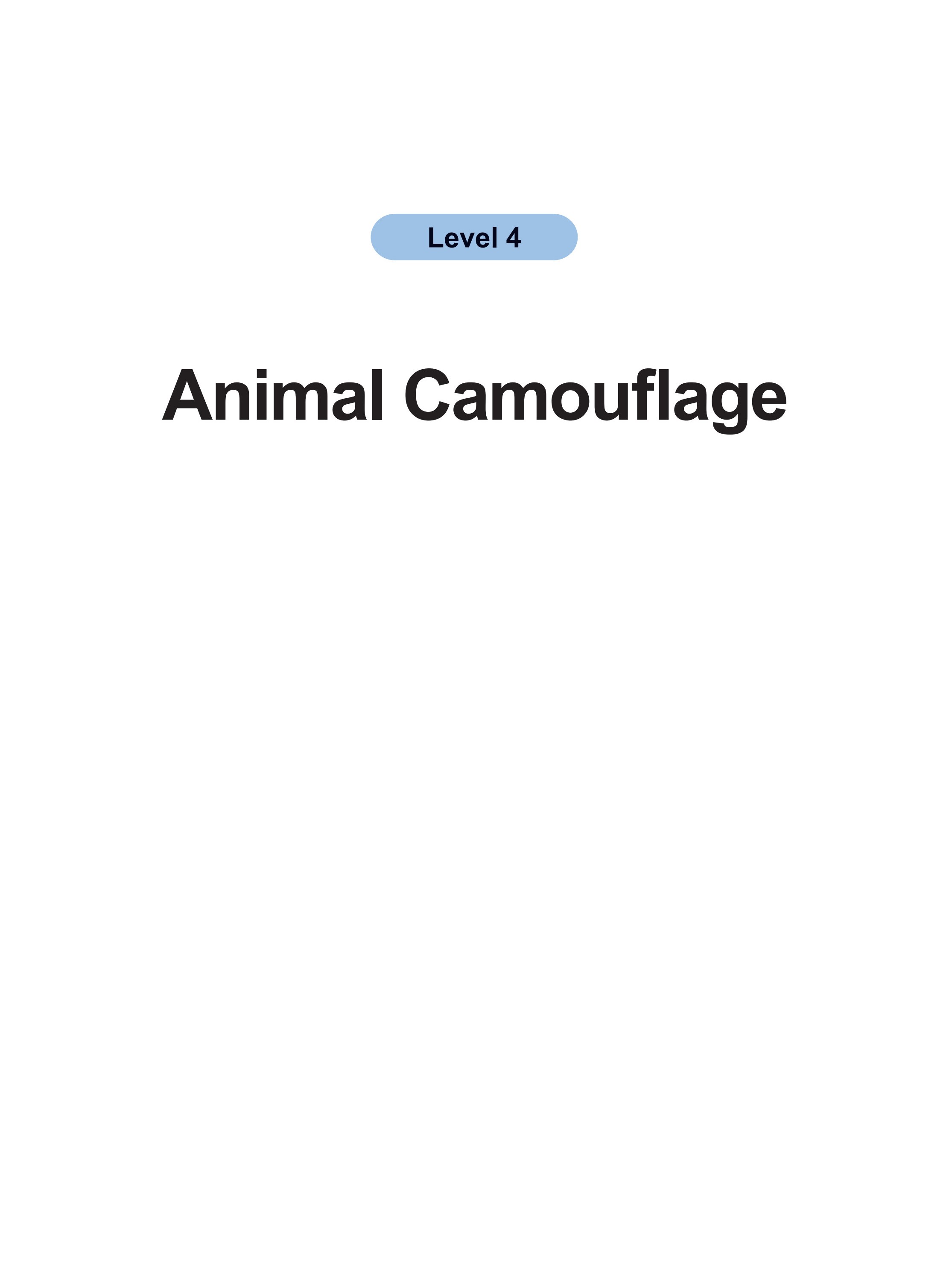 Animal Camouflage