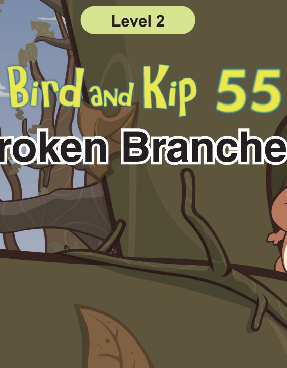 Broken Branches