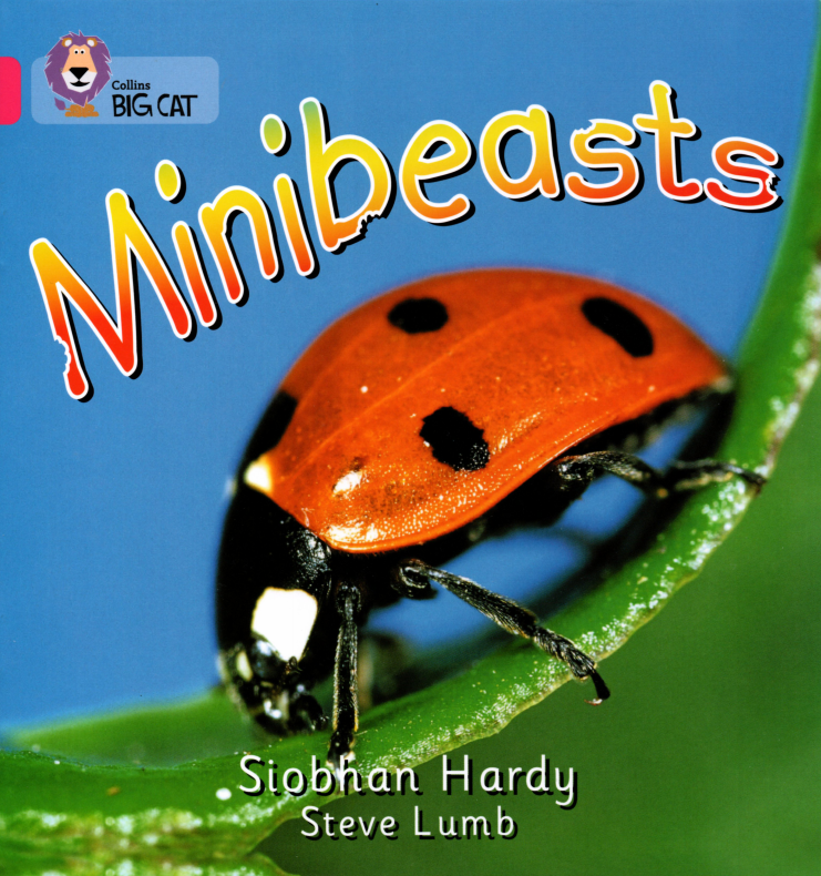 Minibeasts