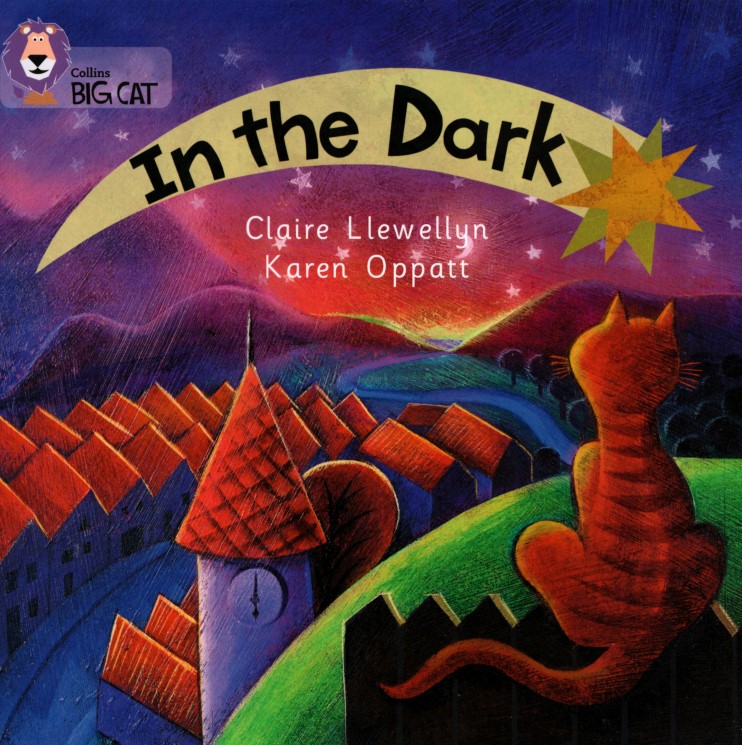 In the Dark