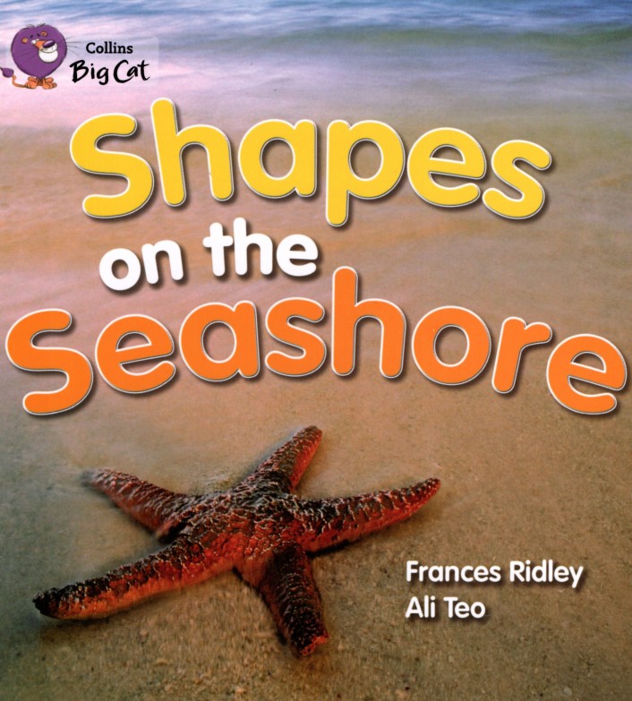Shapes on the Seashore