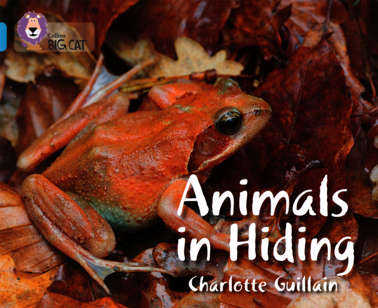 Animals in Hiding
