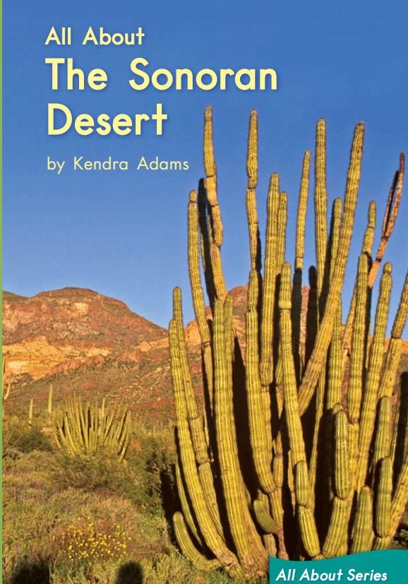All About The Sonoran Desert