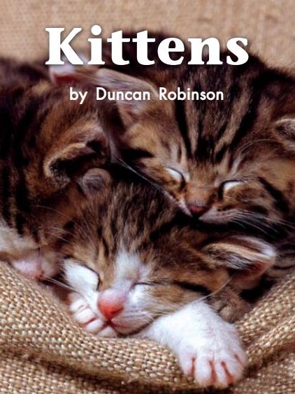 Kittens
