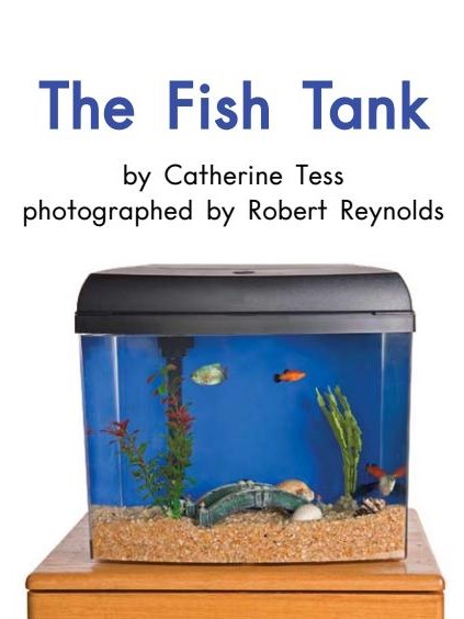 The Fish Tank