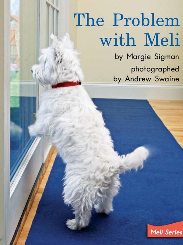 The Problem with Meli