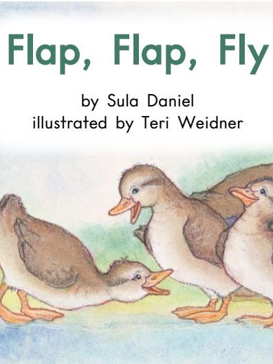 Flap, Flap, Fly
