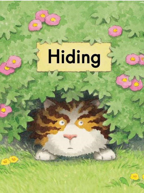 Hiding