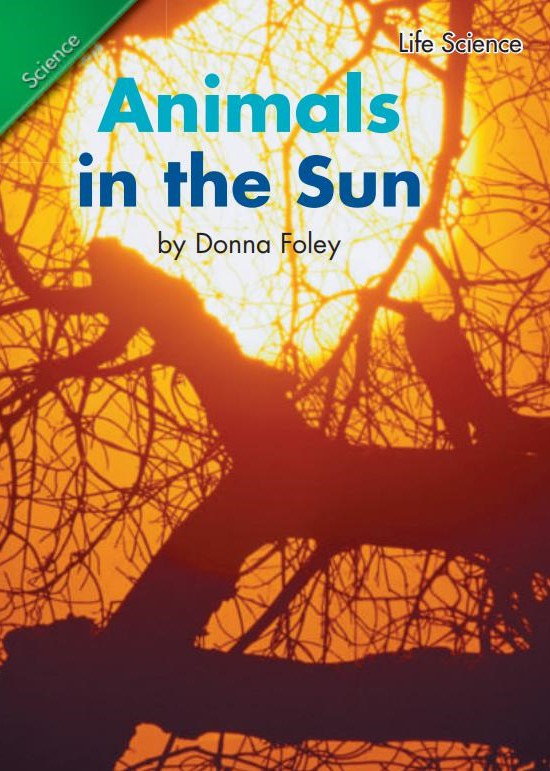 Animals in the Sun