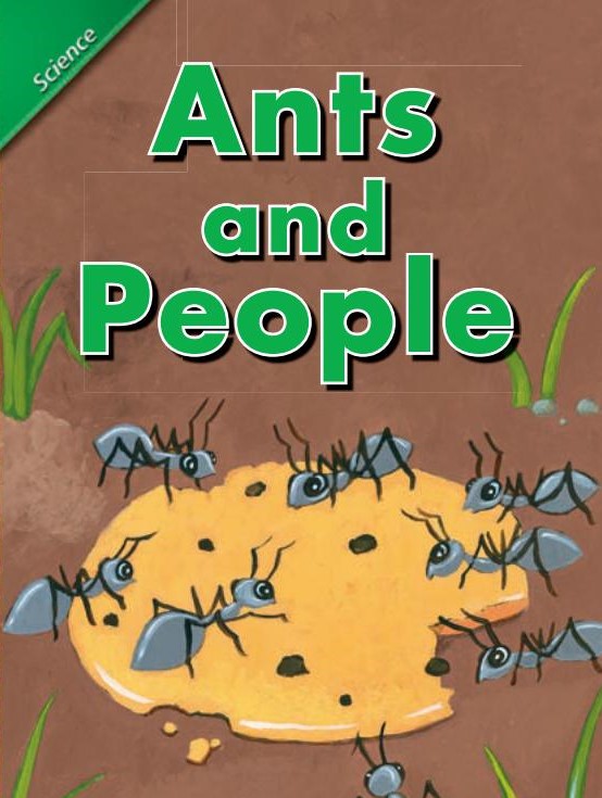 Ants and people