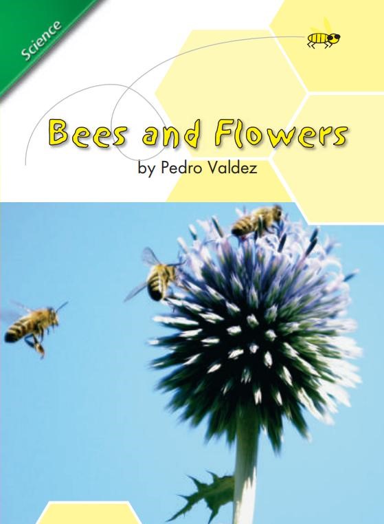 Bees and Flowers