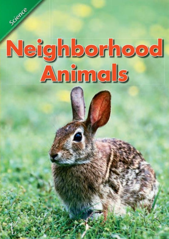 Neighborhood animals