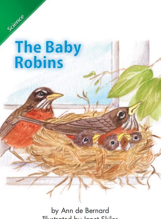 The Baby Robins